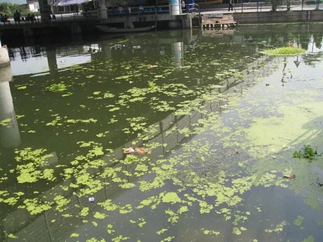 城市黑臭河道如何治理？河道黑臭水體治理思路